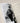 Bohemian Paris; Picasso, Modigliani, Matisse, and the Birth of Modern Art - Dan Franck